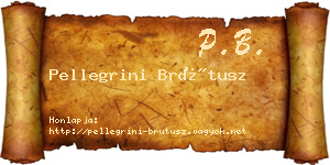 Pellegrini Brútusz névjegykártya